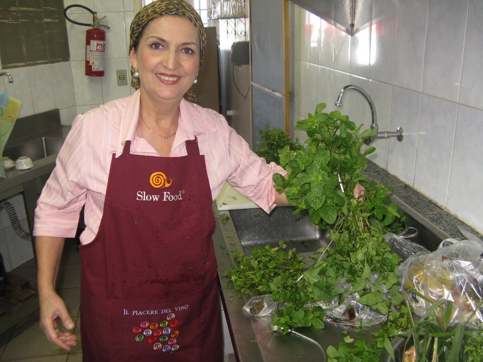 1ffd07_b04d15edaed649638c5b25d5d1f5b1a7mv2