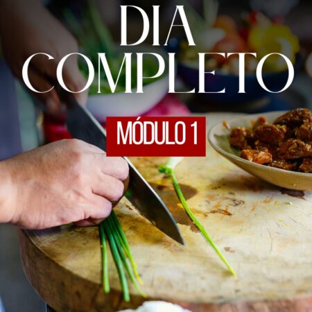 Módulo 1 - Dia Completo
