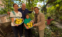 Avós, Natureza e Cozinha: um legado que atravessa gerações